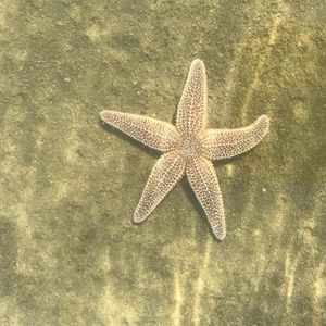 Meet your Posher, Chrissie